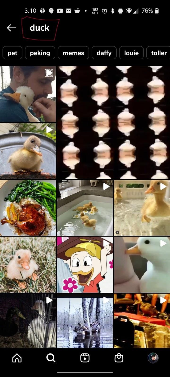 Instagram's search results for duck