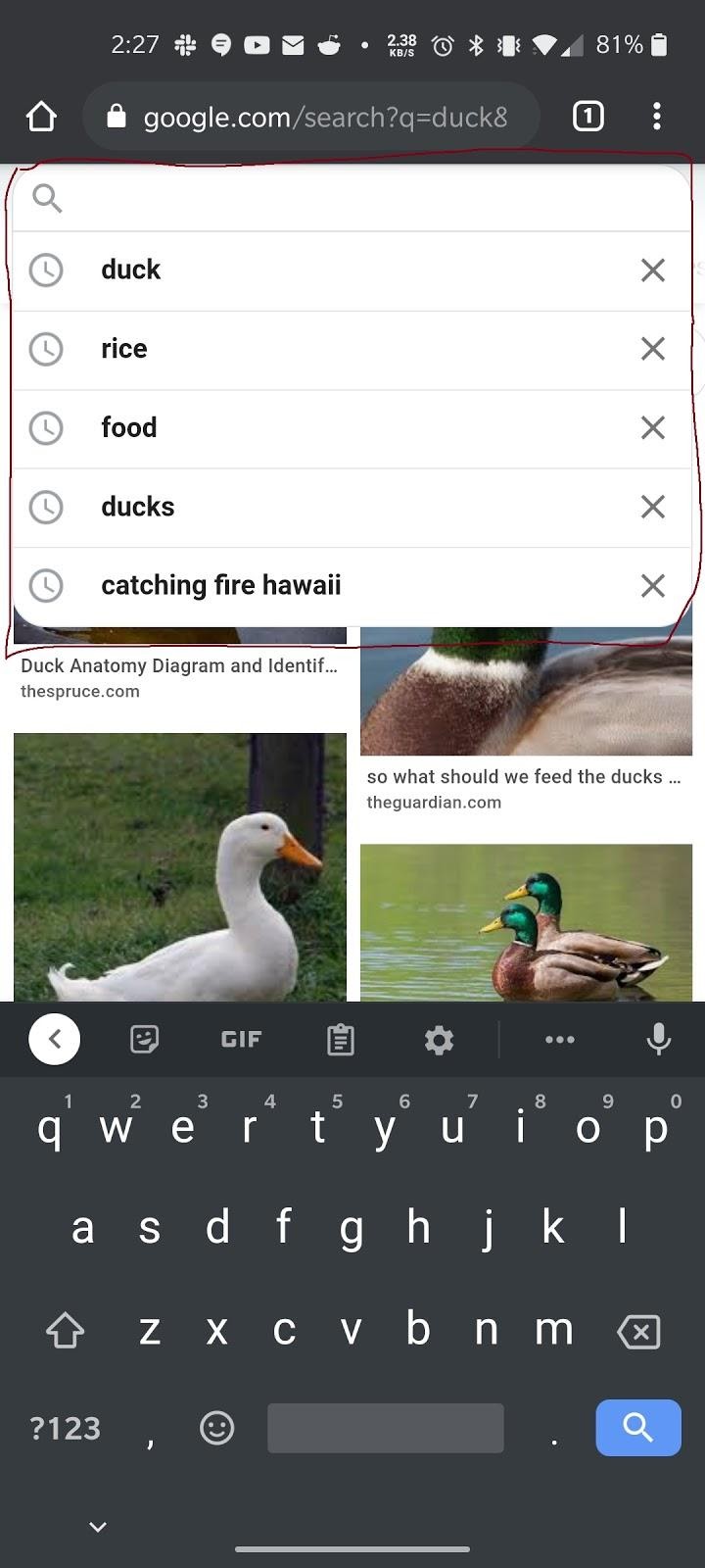 Google Images' search component. Highlighting recent searches