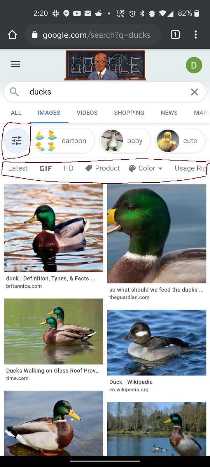 Google Images' search component. Highlighting filtering options