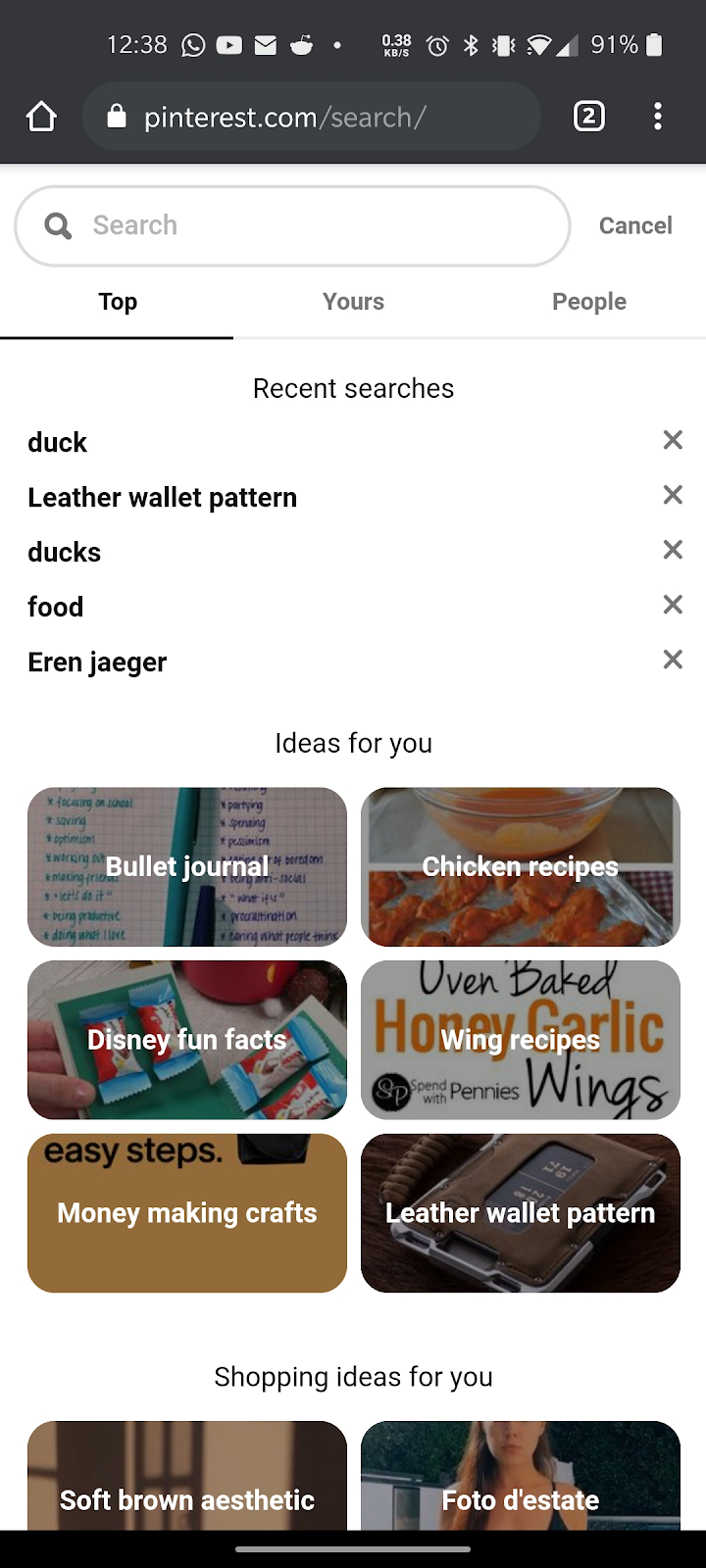 A screen of Pinteresst's search component