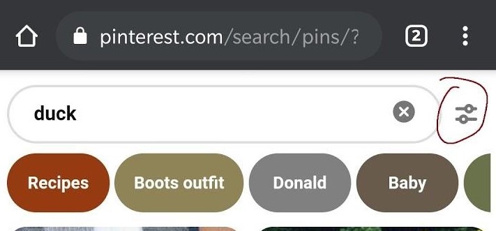 Pinterest's Search component when something is typed in, with filter showing