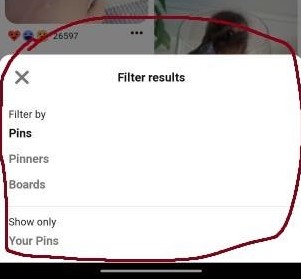Pinterest's filtering options