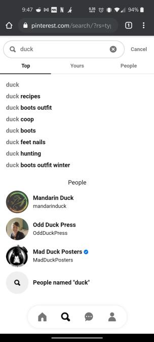 Pinterst's search compnent when duck is typed in